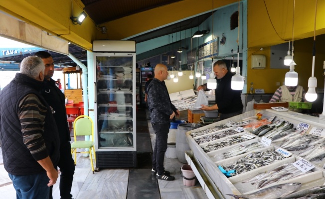 Marmara'daki lüfer bolluğu vatandaşı da balıkçıyı da sevindiriyor