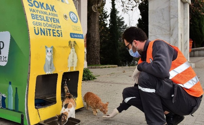 Bursa'da Yıldırım Belediyesi can dostlarına yuva olmayı sürdürüyor