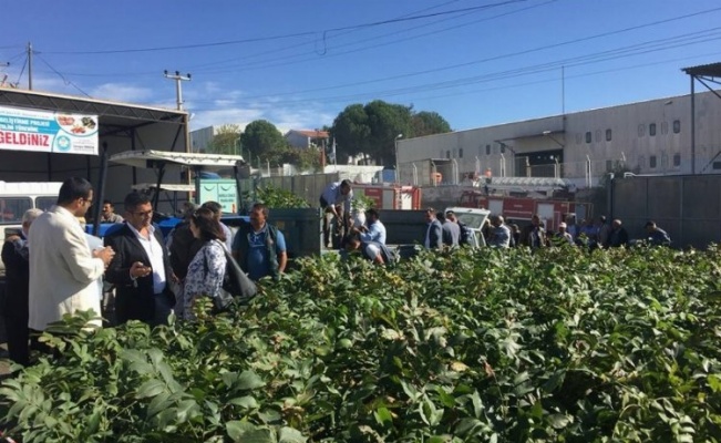 Manisa Büyükşehir "Meyveciliği Geliştirme Projesi" kapsamında çalışıyor