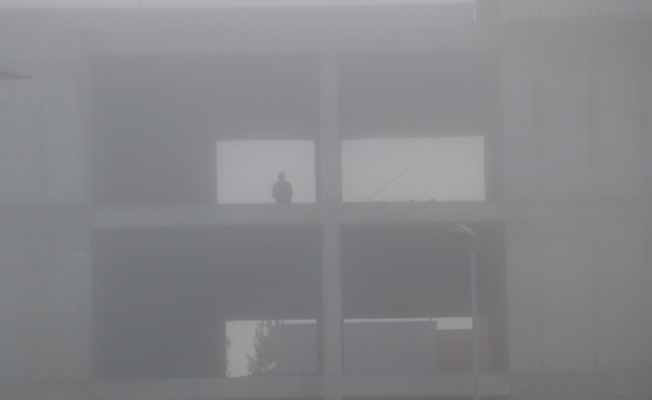 Yalova'da yoğun sis etkili oldu
