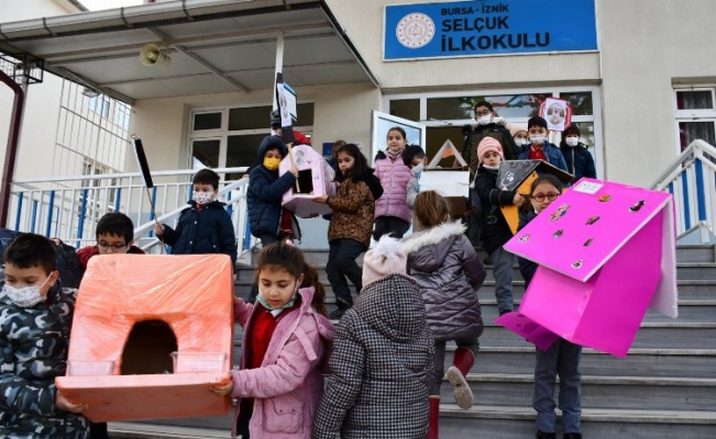 Bursa İznik'te öğrencilerden her okula kedi yuvası