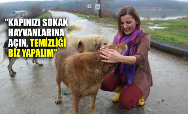 İzmit Belediyesi'nden vatandaşlara çağrı: Kapınızı sokak hayvanlarına açın, temizliği biz yapalım