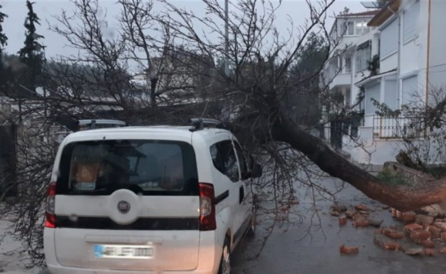 Muğla Bodrum'daki selin bilançosu ortaya çıktı: 130 ev ve iş yeri zarar gördü