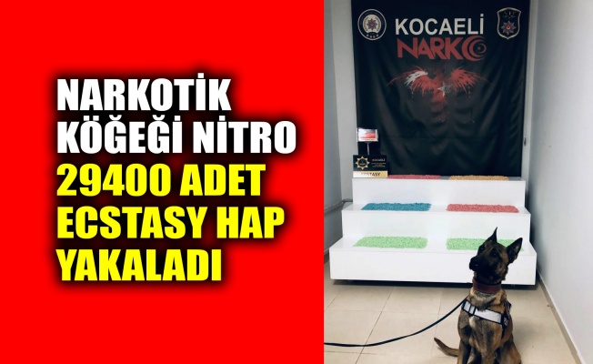 Narkotik köpeği Nitro, 29400 adet Ecstasy hap yakaladı