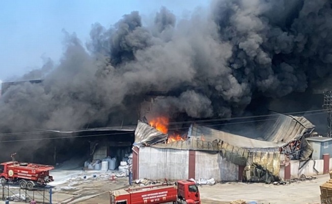 Hatay Arsuz'da antrepo yangınına müdahale sürüyor