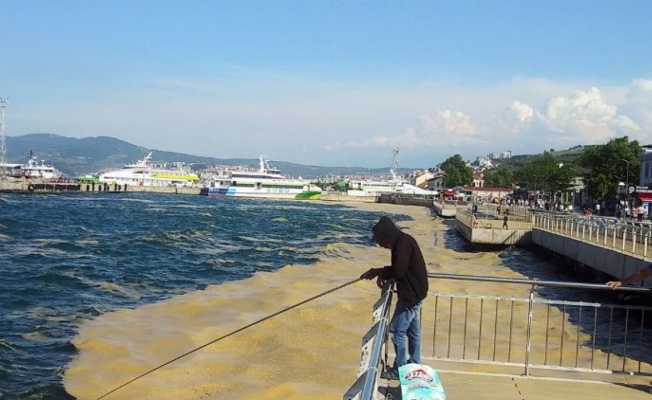 Marmara'daki kıyı illerini ilgilendiriyor... 6 ayda planlayıp, 3 yılda kuracaklar