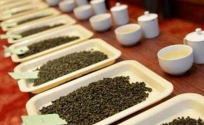 Rize'de çay üreticilerine 'butik' eğitim