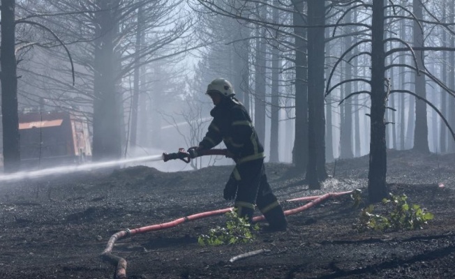 Gaziantep Burç Ormanı'ndaki yangın kontrol altında