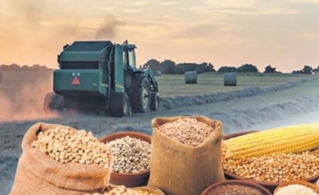 Tarım Ürünleri Fiyat Endeksi'nin Haziran verileri  açıklandı