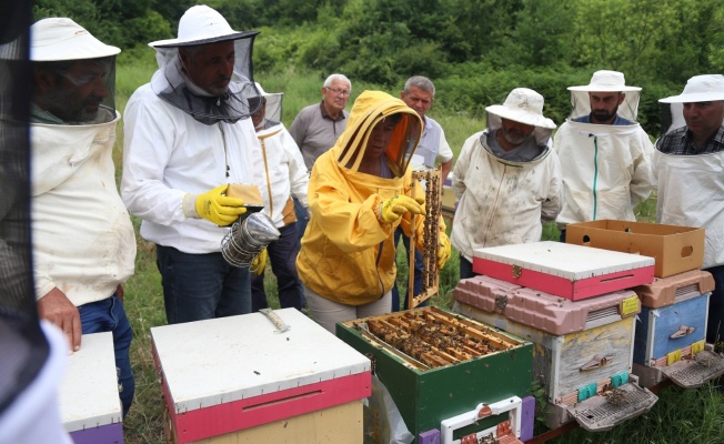 Arı yetiştiricileri ilkleri KO-MEK’te öğreniyor