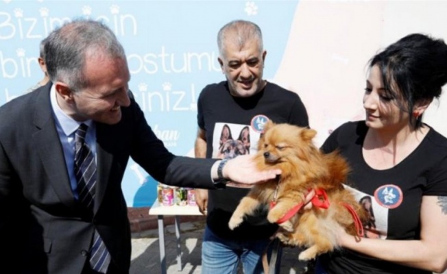 Bursa'da sokak hayvanlarının dostu İnegöl Belediyesi
