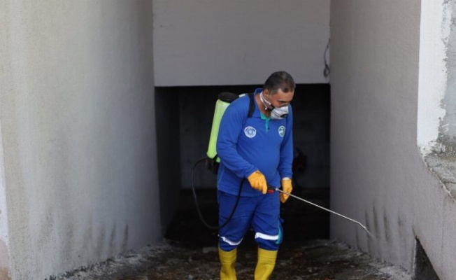 Bursa Mudanya'da sel sonrası haşare temizliği