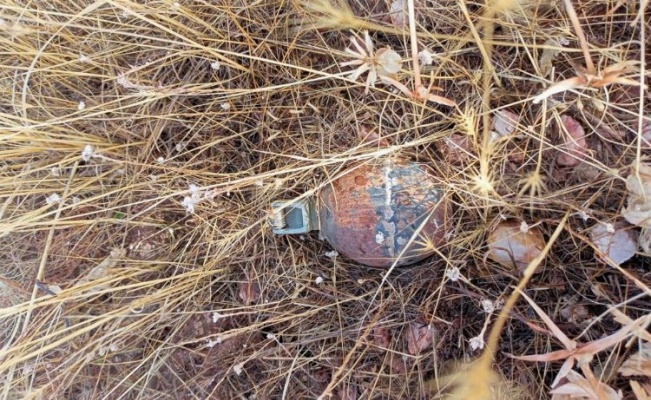 Bingöl'de patlamamış el bombası imha edildi