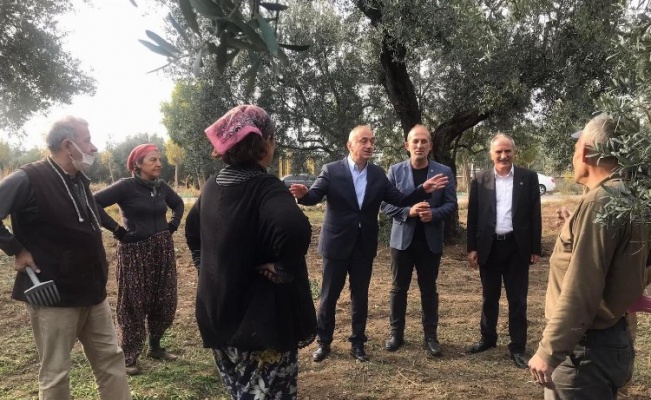 İYİ Partili Tatlıoğlu Bursa'da zeytin üreticilerine ses oldu