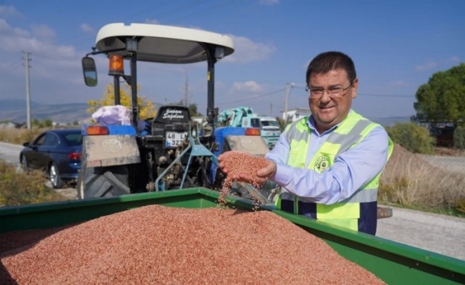 Muğla Milas'ta Başkan Tokat'tan tarımsal mesai sürüyor