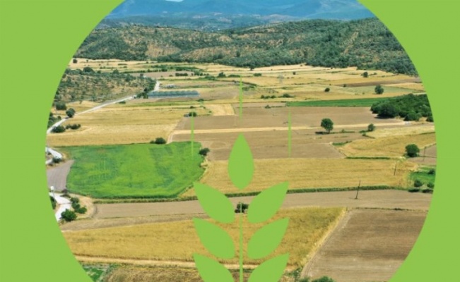 Bodrum'un 'Topraksız Tarım Projesi'ne onay
