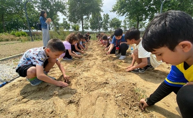 Efes Selçuklu çocuklar fideleri toprakla buluşturuyor