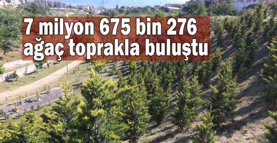 7 milyon 675 bin 276 ağaç toprakla buluştu