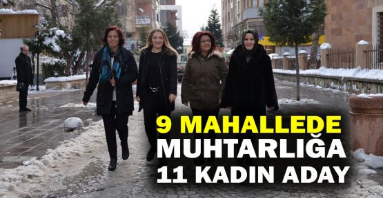  9 mahallede muhtarlığa 11 kadın aday