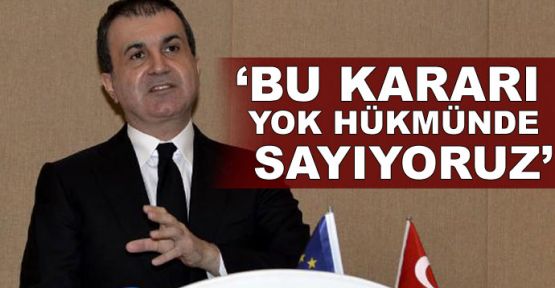 AB Bakanı Ömer Çelik'ten AP açıklaması