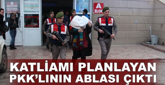 Abla FETÖ'cü, kardeş PKK'lı