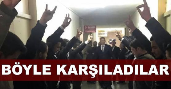 Ak Partili Babaoğlu'nu, MHP'liler 'bozkurt' selamı ile karşıladı