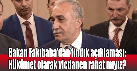  Bakan Fakıbaba'dan fındık açıklaması: Hükümet olarak vicdanen rahat mıyız? 