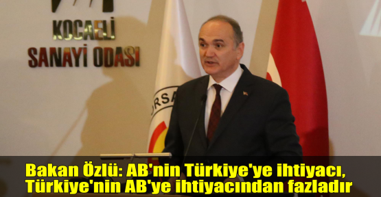 Bakan Özlü: AB'nin Türkiye'ye ihtiyacı, Türkiye'nin AB'ye ihtiyacından fazladır