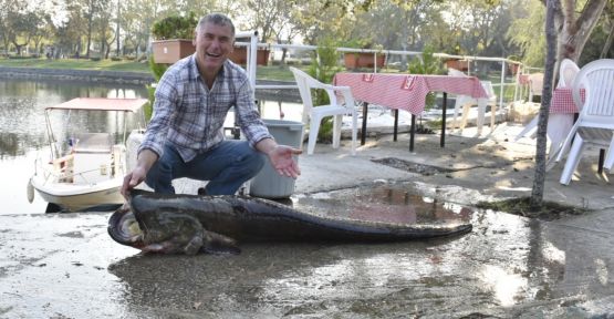 Balıkçının ağına 67 kilogramlık yayın balığı takıldı
