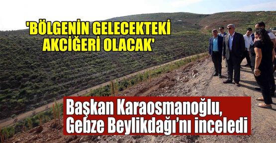 Başkan Karaosmanoğlu, Gebze Beylikdağı'nı inceledi