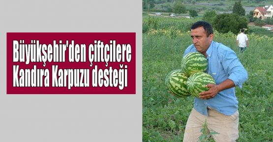 Büyükşehir'den çiftçilere Kandıra Karpuzu desteği