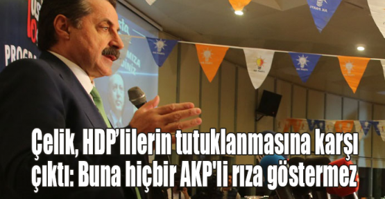 Çelik, HDP’lilerin tutuklanmasına karşı çıktı: Buna hiçbir AKP'li rıza göstermez