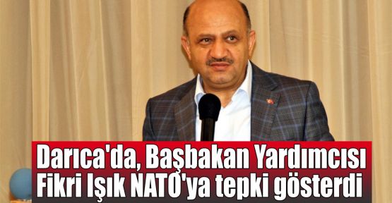   Darıca'da, Başbakan Yardımcısı Işık'tan NATO'ya tepki