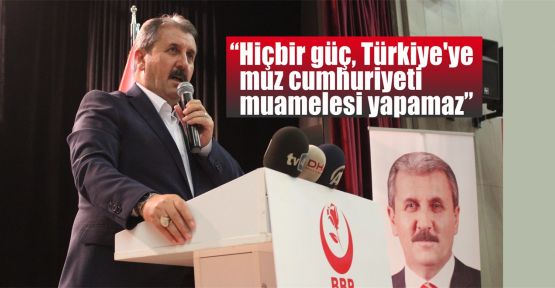 Destici: Hiçbir güç, Türkiye'ye muz cumhuriyeti muamelesi yapamaz 