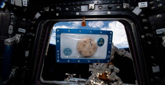  DoubleTree kurabiyeleri uzayda pişecek 