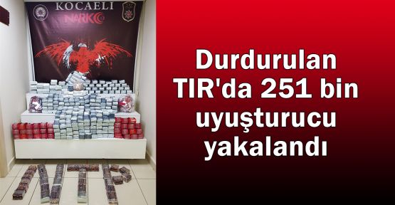 Durdurulan TIR'da 251 bin uyuşturucu yakalandı