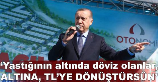Erdoğan'dan 'döviz' çağrısı