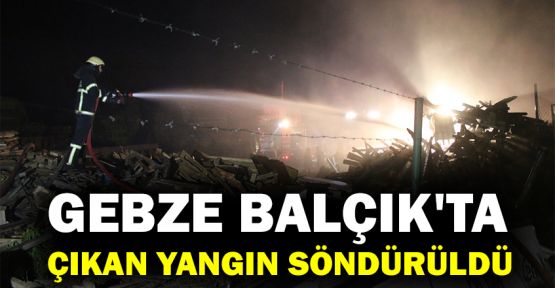 Gebze Balçık'ta çıkan yangın söndürüldü