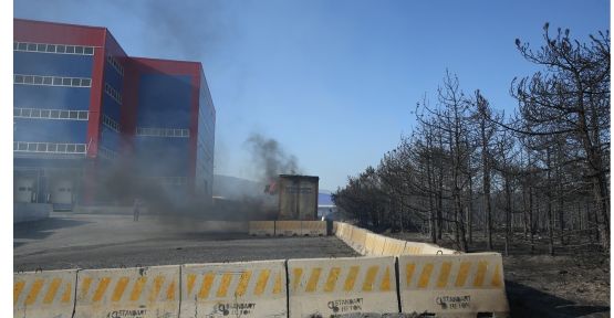  Gebze'de orman yangını fabrikaya sıçradı