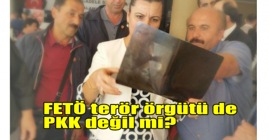 Hürriyet: FETÖ terör örgütü de PKK değil mi?