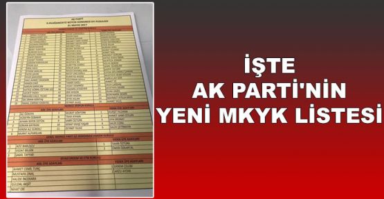  İşte AK Parti'nin yeni MKYK listesi