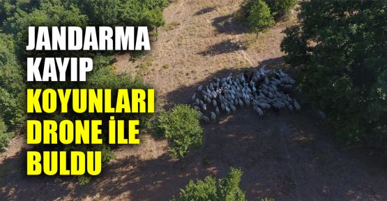  Jandarma kayıp koyunları drone ile buldu