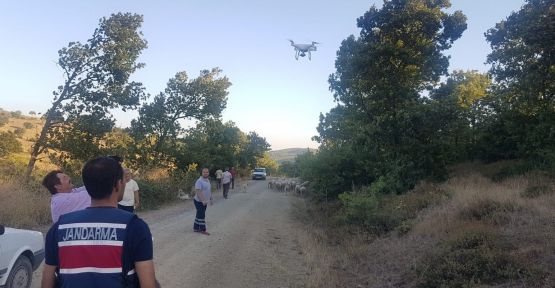 Jandarma kayıp koyunları drone ile buldu