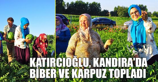  Katırcıoğlu, Kandıra'da biber ve karpuz topladı