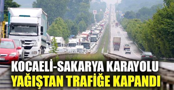  Kocaeli-Sakarya karayolu yağıştan trafiğe kapandı