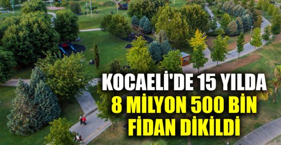 Kocaeli'de 15 yılda 8 milyon 500 bin fidan dikildi