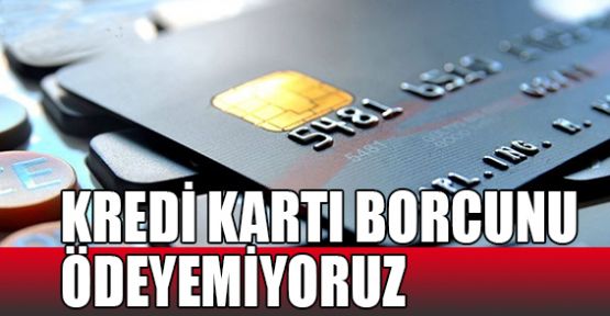Kredi kartı borcunu ödeyemiyoruz