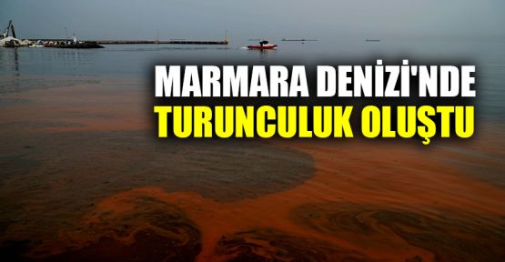  Marmara Denizi'nde turunculuk oluştu