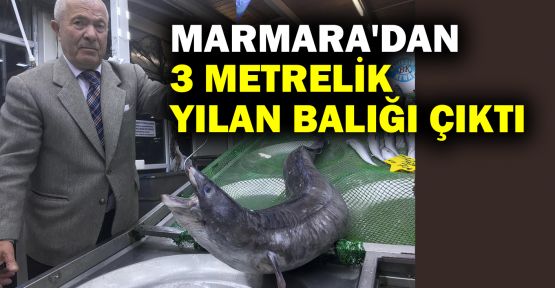  Marmara'dan 3 metrelik yılan balığı çıktı