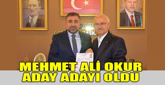 Mehmet Ali Okur aday adayı oldu